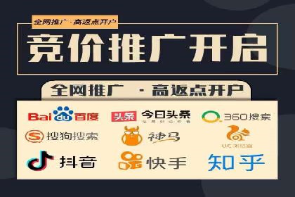 行业领先企业的sem竞价策略：成功案例剖析
